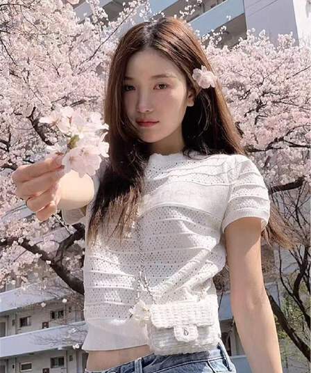 프랑스식 달콤한 스타일 자카드 홀로우 아웃 반팔 니트 스웨터 여성 여름 작은 키 착용 가져 가라. 고유 한 아름다운 쇼트 스타일 맨위