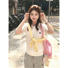 批发韩系麻花学院风polo领针织衫短袖t恤女夏季穿搭修身巨好看上衣薄