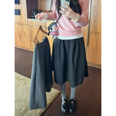 批发实拍实价 新款加绒加厚毛呢高腰<b class='q'>百搭</b>半身裙休闲气质中裙