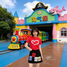 批发裙子加长加厚款女装<b class='q'>韩版</b>两件套半身裙春夏装学生时尚套装裙子