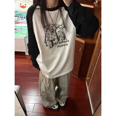 批发高质量<b class='q'>纯棉</b>200克21支精梳精密印花秋季宽松长袖<b class='q'>T</b><b class='q'>恤</b>女