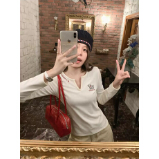 批发1*1膨体德绒早秋韩系小V领小羊绣花<b class='q'>长</b>袖<b class='q'>T</b><b class='q'>恤</b>软糯显瘦修身内搭上衣
