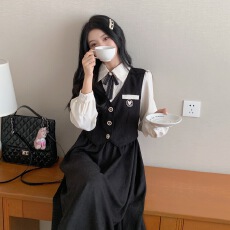 批发实拍 大码法式学院风通勤<b class='q'>气质</b>假两件连衣裙2026秋冬微胖妹妹A字裙