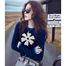 批发蓝色毛衣女套头2025秋冬内搭韩系减龄巨好看的<b class='q'>针织</b>衫慵懒显瘦上衣