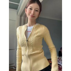 批发秋冬拉链圆领绞花开衫毛衣外套女新款修身显瘦内搭打底上衣针织