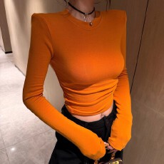 批发2025<b class='q'>秋</b>冬新款时尚百搭显瘦加绒小圆领上衣女