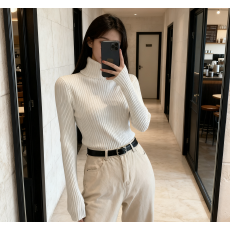 批发已出货  韩系高领纯色时尚百搭内搭针织长袖修身显瘦上衣