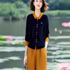 批发2025秋冬 新款法式小众别致韩系拼接温柔雪纺时尚上衣