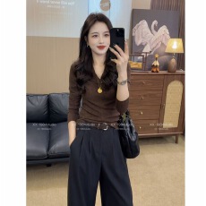 批发大码V领气质轻奢时尚百搭修身弹力显瘦上衣