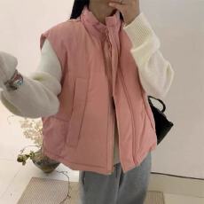 批发韩国东大门2025秋冬<b class='q'>新款</b>加厚保暖上衣韩版经典百搭羽绒棉服马甲女