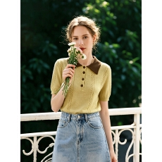 批发时尚polo领短袖<b class='q'>T</b><b class='q'>恤</b>女2026夏季设计感<b class='q'>翻领</b>显瘦上衣