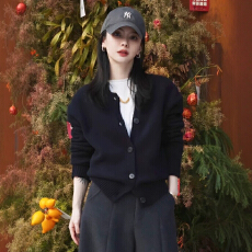 批发高级感翻立领针织<b class='q'>开衫</b>毛衣外套女秋冬设计感慵懒独特别致上衣