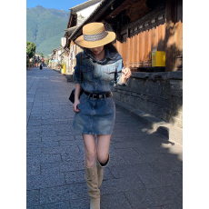 批发时尚高级感复古牛仔连衣裙女2026秋季<b class='q'>新款</b>收腰显瘦气质翻领短裙子
