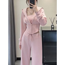批发粉色连帽卫衣休闲运动套装女<b class='q'>春</b>秋冬气质减龄时尚洋气高级感三件套