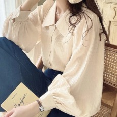 批发上新日本韩国东南亚春夏秋外贸外单长袖上衣衬衫衬衣纯色<b class='q'>雪纺衫</b>