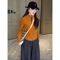 批发立领拉链开<b class='q'>衫</b>卫衣外套女2025冬季新款短款无帽上衣小众上衣T恤女