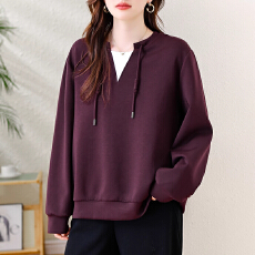 批发<b class='q'>大码</b>女士休闲假两件宽松遮肉卫衣秋季2025年时尚百搭长袖上衣潮流