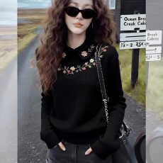 批发黑色<b class='q'>翻领</b>刺绣花朵女装秋冬2026新款时髦减龄时尚简约上衣打底修身