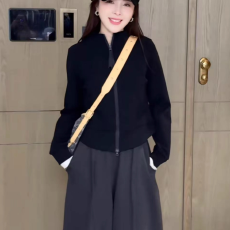 批发秋冬巨好看的<b class='q'>卫衣</b>女2026爆款大码胖MM时尚宽松洋气双<b class='q'>拉链</b>开衫外套