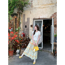 批发实拍 <b class='q'>韩版</b>气质宽松显瘦百搭油画感花朵半身裙