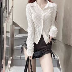 批发<b class='q'>衬衫</b>毛巾绣紧身通勤韩系温柔女长袖上衣