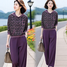 批发官图 2025春秋新款时尚套装复古洋气连帽<b class='q'>印花</b>长袖卫衣休闲<b class='q'>哈伦裤</b>