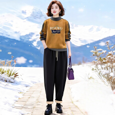 批发官图 简约<b class='q'>休闲</b>运动<b class='q'>套装</b>冬季新款气质半高领上衣加厚<b class='q'>休闲</b>裤两件套