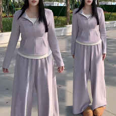 批发官图 秋冬韩系穿搭一整套<b class='q'>装</b><b class='q'>女</b>2025时尚减龄立领开衫阔腿裤<b class='q'>两件</b>套