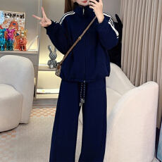 批发官图 拉链卫衣<b class='q'>套装</b>女2025冬季新款韩系休闲运动三条杠外套两件套