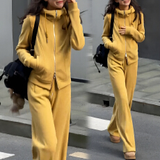 批发官图 时尚老钱风运动套装设计感小众连帽卫衣阔腿<b class='q'>裤</b><b class='q'>加厚</b>保暖套装