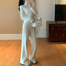 批发官图 2026秋冬新款高级感长袖立领<b class='q'>卫衣</b>外套高腰阔腿裤运动<b class='q'>两件套</b>