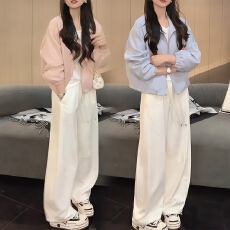 批发官图 短款立领休闲外套春秋2026新款韩系chic小个子减龄<b class='q'>百搭</b>夹克