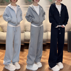 批发官图 2026新款高级感休闲套装时尚连帽拉链<b class='q'>卫衣</b>宽松阔腿裤两件套