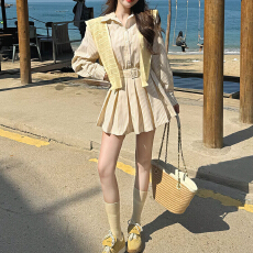 批发官图 衬衫<b class='q'>连衣裙</b>2026春秋新款小众设计学院风收腰显瘦A<b class='q'>字</b>百褶短裙