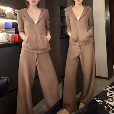 批发官图 高级感<b class='q'>时尚</b><b class='q'>套装</b>春秋新款韩系减龄气质炸街卫衣阔腿裤<b class='q'>两件</b>套