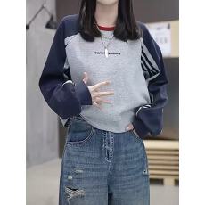 批发小众设计感插肩袖圆领长袖<b class='q'>卫衣</b>女2025秋季新款刺绣字母休闲上衣女