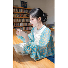 批发法式独特气质泡泡袖<b class='q'>碎花</b><b class='q'>衬衫</b>女春季大码胖mm高级别致休闲小衫上衣