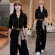 批发翻领长袖<b class='q'>连体裤女</b>秋季大码胖mm收腰显瘦时髦复古减龄工装阔腿裤子