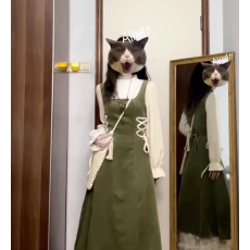 批发秋冬韩系穿搭一整套2025新款高级感假两件背带连衣裙子女秋季长裙