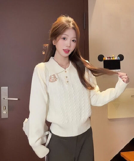 자수 POLO 칼라 꽈배기 긴팔 니트 스웨터 여성 2026 조기 가을 인사이드 가져 가라. 수 있습니다. 외출용 스웨터 만나는 맨위