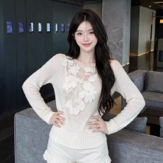 批发温柔风蕾丝刺绣花朵长袖<b class='q'>针织衫</b>女秋季新款氛围感修身百搭<b class='q'>薄款</b>上衣