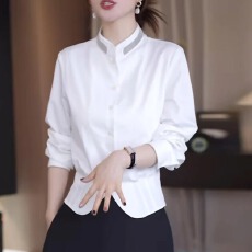 批发法式<b class='q'>白色</b><b class='q'>衬衫女</b>2025秋季新款高级感气质减龄休闲立领收腰显瘦上衣