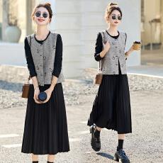 批发实拍2025年秋季新款提花马甲针织百褶<b class='q'>连衣裙</b>两件套套装