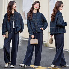 批发实拍女装十三行高品质2025<b class='q'>秋</b>装新款时尚小立领宽松牛仔外套