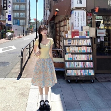 批发韩系复古油画印花半身裙春夏2026新款松紧腰A字版碎花印花蓬蓬裙