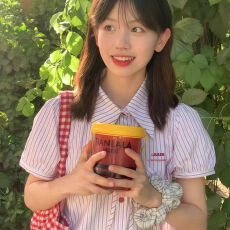 学院风条纹短袖衬衫女2025新款夏季蝴蝶结泡泡袖百搭小众休闲衬衣