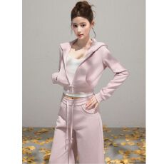 批发320g<b class='q'>纯棉</b>华棉内里同色原版面料原版做工连帽短款长袖长裤套装女秋