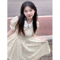 批发茶褐法式娃娃领碎花连衣裙女夏季新款甜美收腰学院风小清新中长裙