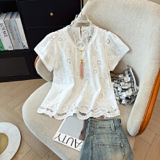 批发夏款设计感立体刺绣蕾丝钩花提花衬衫<b class='q'>长袖</b>小衫宽松娃娃衫上衣女