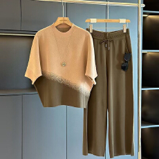 批发妈妈春装套装气质新款<b class='q'>中老年</b>人运动服上衣女春秋季薄款大码两件套